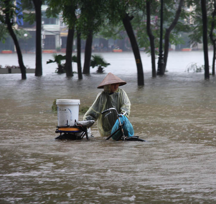 CBI expands its private sector network to Viet Nam