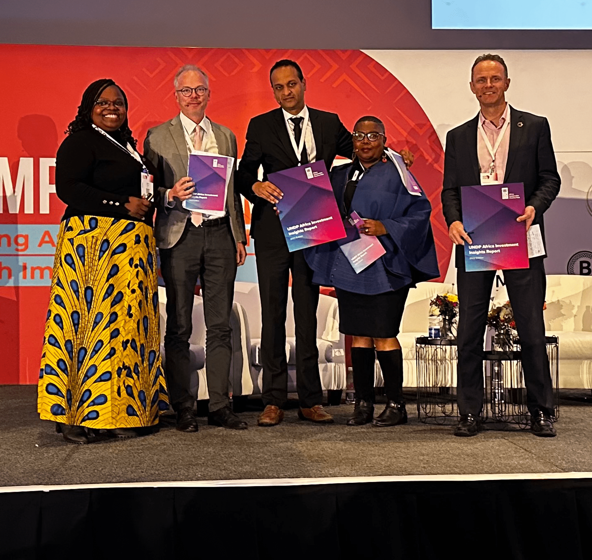 UNDP identifies Africa’s investment opportunities with both financial and impact potential for people and the planet