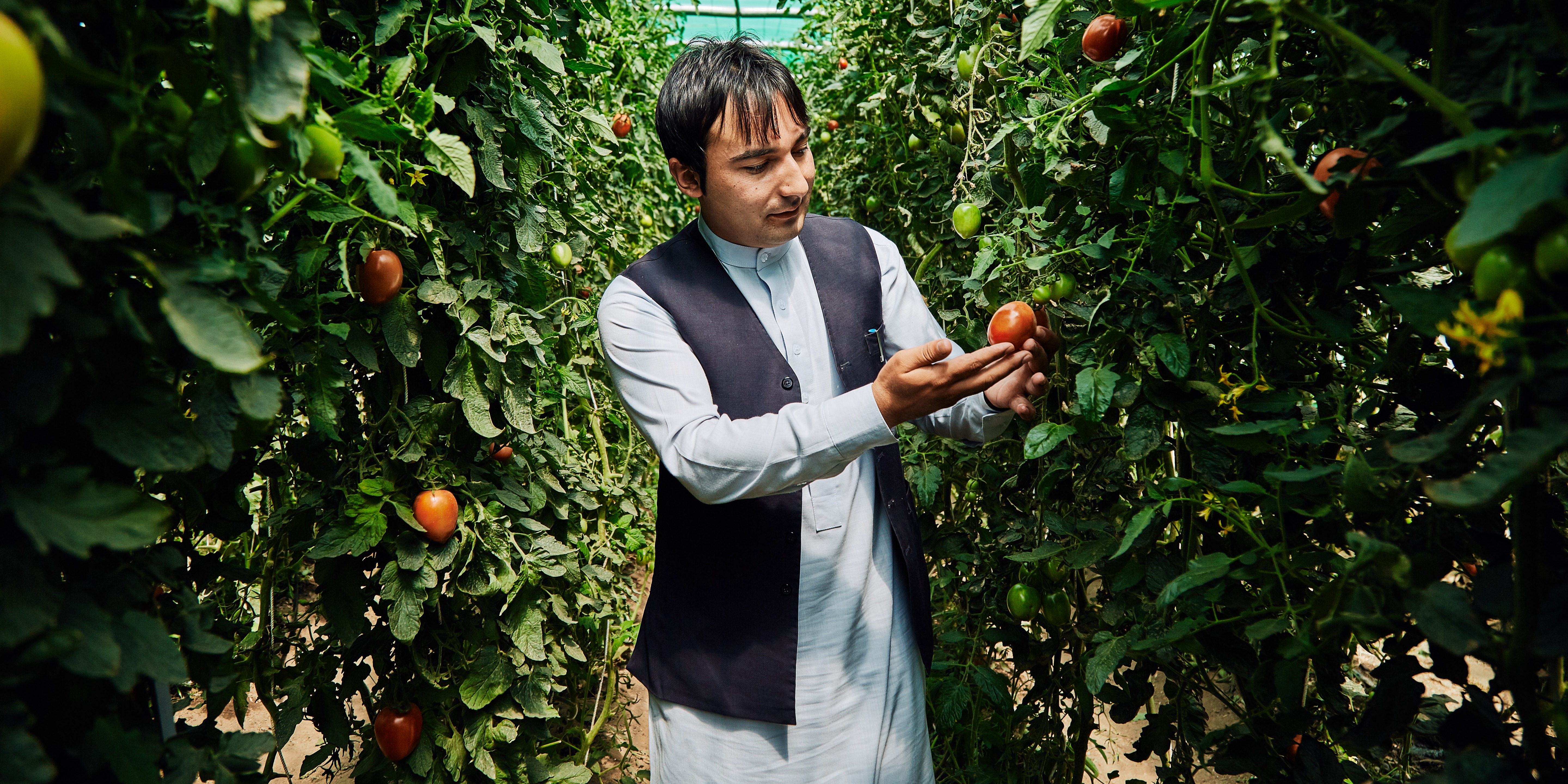 UNDP-Afghanistan-2016_climate_change_adaptation - PC UNDP Afghanistan S. Omer Sadaat (2)