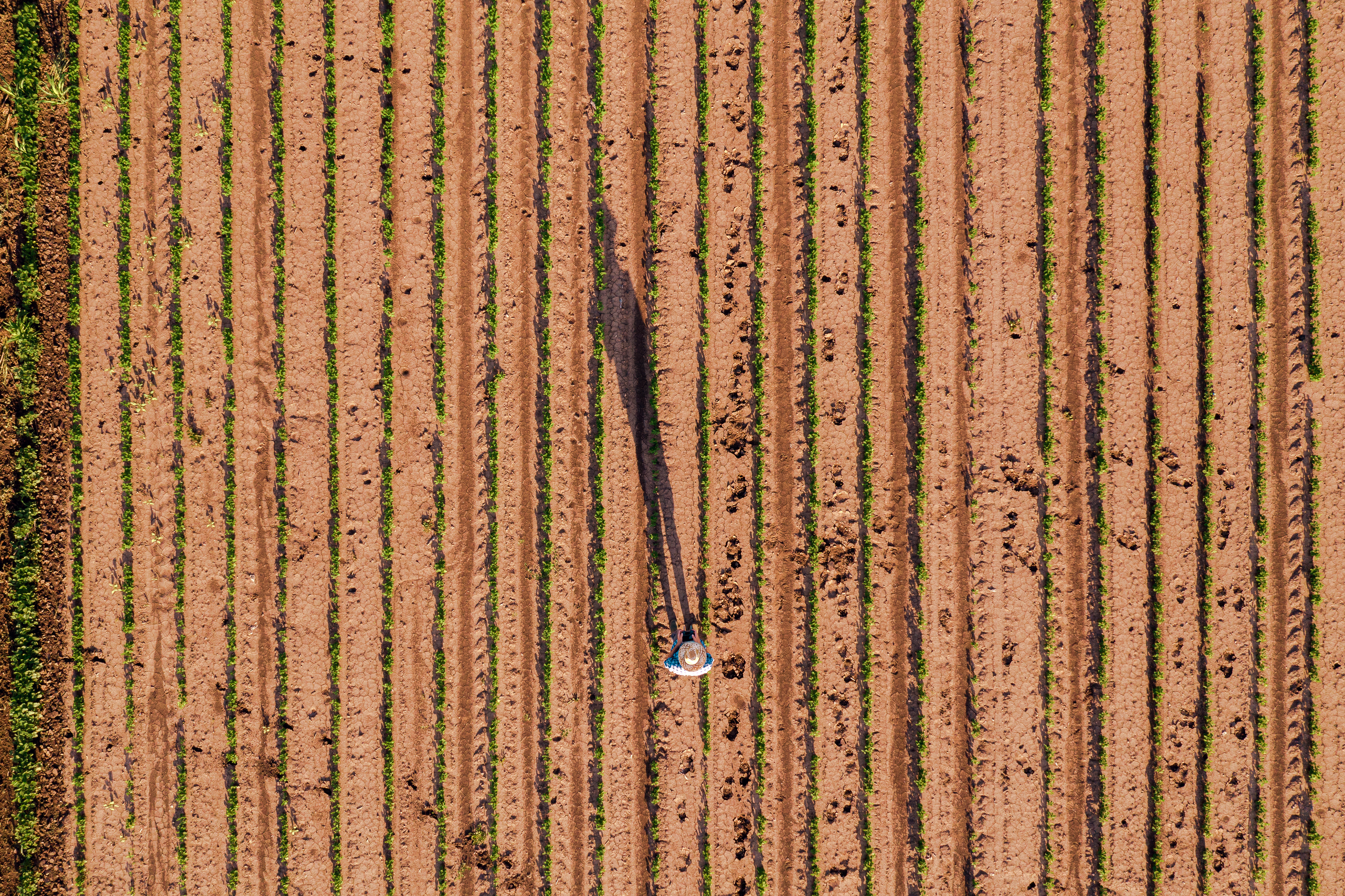 man walks on a field