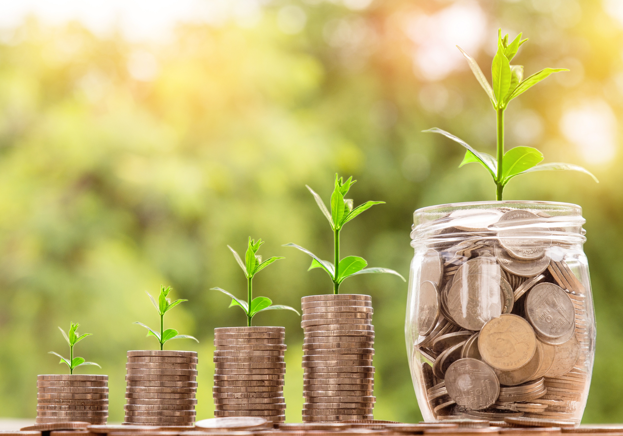 money and plants