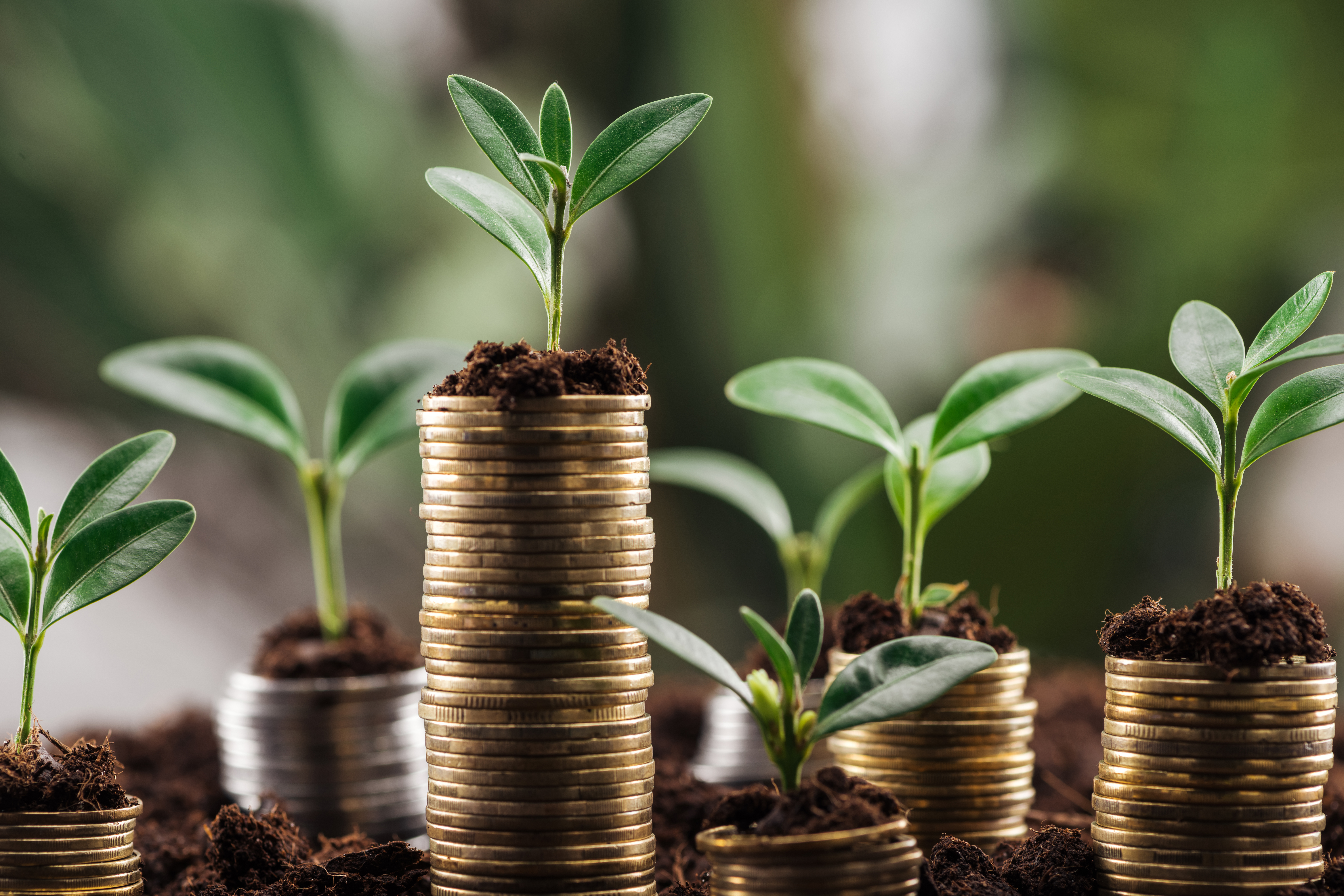 Shoots growing on piles of coins