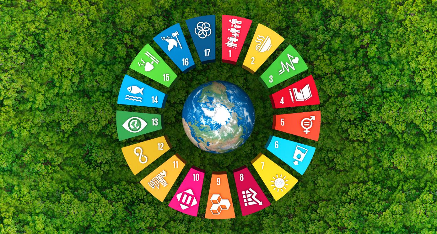 SDG colors and forest