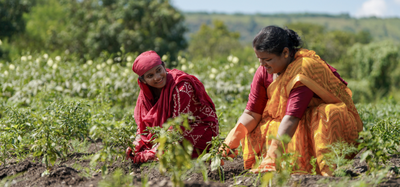 Women on a field