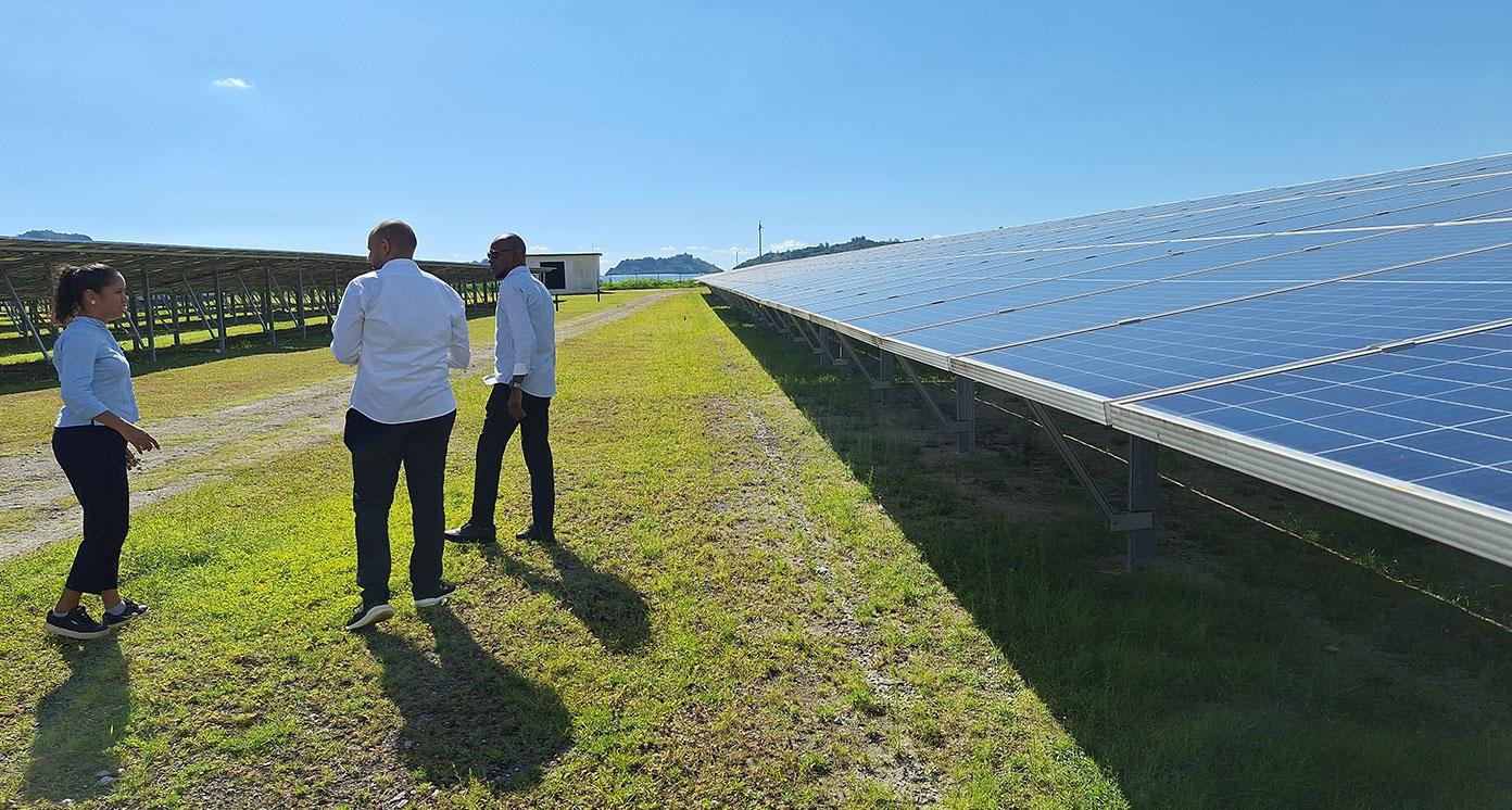 People and solar panels