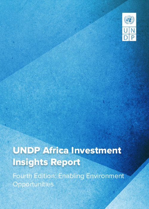 UNDP Africa Investment Insights Report 2025