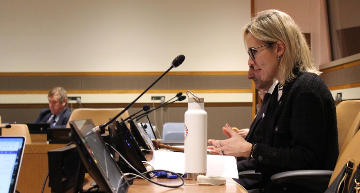 Sebnem Sener speaking