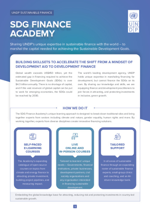 SDG Finance Academy Brochure