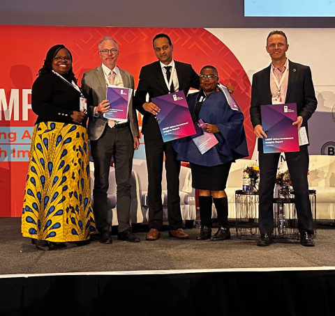 UNDP identifies Africa’s investment opportunities with both financial and impact potential for people and the planet